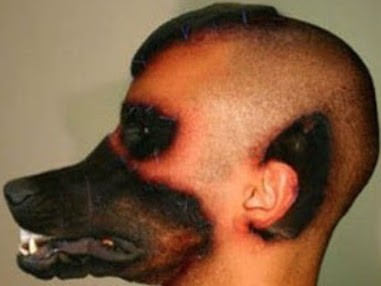 man with dog face man with dog face